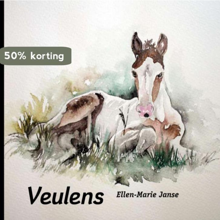 Veulens 9789079249176 E.M. Janse, Boeken, Hobby en Vrije tijd, Zo goed als nieuw, Verzenden