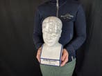 Beeld, Phrenology Head 28.5cm - 28.5 cm - Porselein - 2026, Antiek en Kunst