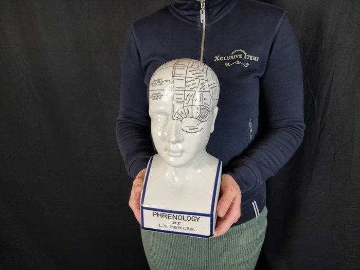 Beeld, Phrenology Head 28.5cm - 28.5 cm - Porselein - 2026, Antiek en Kunst, Kunst | Designobjecten