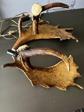 Daim Taxidermie volledige montage - Inconnu - 45 cm - 25 cm