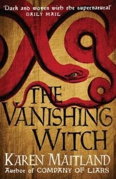 The Vanishing Witch 9781472215031 Maitland, Boeken, Verzenden, Gelezen, Maitland