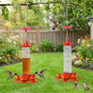 Kolibrievoeder Hangend 350ml – 5 Poorten en Mierenwerend, Dieren en Toebehoren, Verzenden, Nieuw