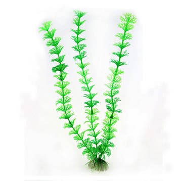 30cm Aquarium Plant, Verzenden, Nieuw
