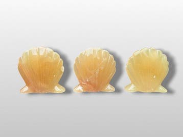Honingcalciet handgemaakt Shell- 550 g - (3), Verzamelen