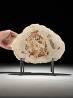 Indrukwekkende plak versteend hout op een op maat gemaakte