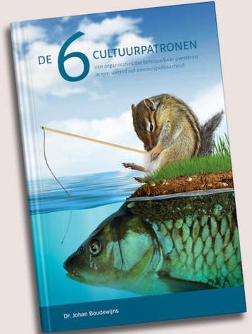 De 6 cultuurpatronen - Johan Boudewijns 9789081064101, Verzenden, Zo goed als nieuw, Johan Boudewijns