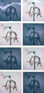 Maurizio Galimberti (1956–) - Life of a Flower