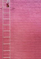 Marcus Cederberg - Girl power - XL