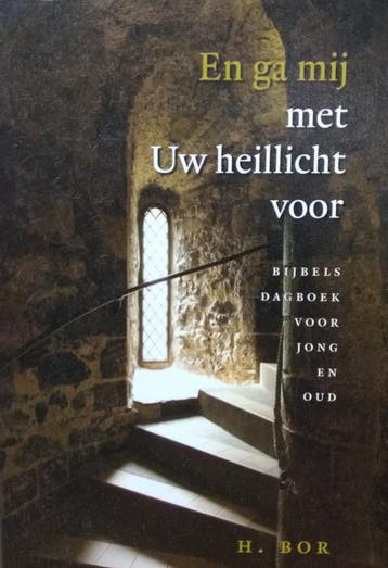 En ga mij met Uw heillicht voor 9789033124839 H. Bor, Boeken, Godsdienst en Theologie, Verzenden, Gelezen, H. Bor