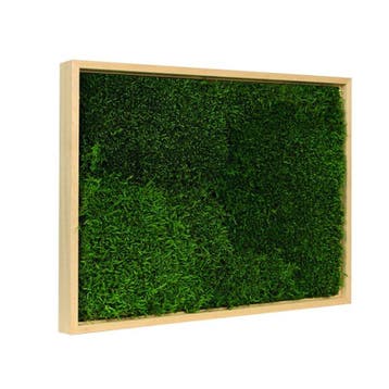 Vintlux Mosschilderij Lappenmos 70x100 cm Blank Hout, Nieuw
