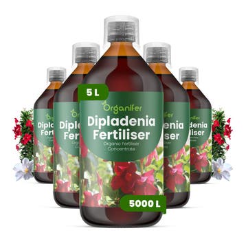 Dipladenia Vloeibare Meststof - 5x1 liter, Verzenden, Mest