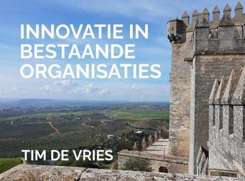 9789402148268 Innovatie in bestaande organisaties, Verzenden, Nieuw, Tim de Vries