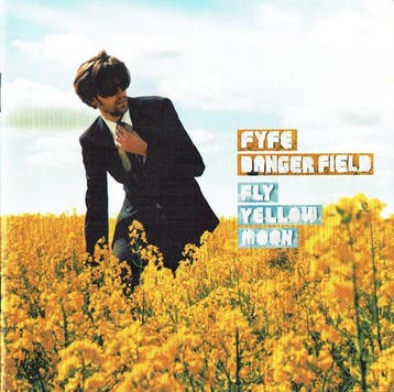cd - Fyfe Dangerfield - Fly Yellow Moon, Cd's en Dvd's, Verzenden, Zo goed als nieuw