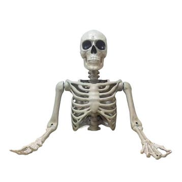 Halloween Decoratie Skelet Torso Tom 104cm, Hobby en Vrije tijd, Verzenden, Nieuw, Overige typen