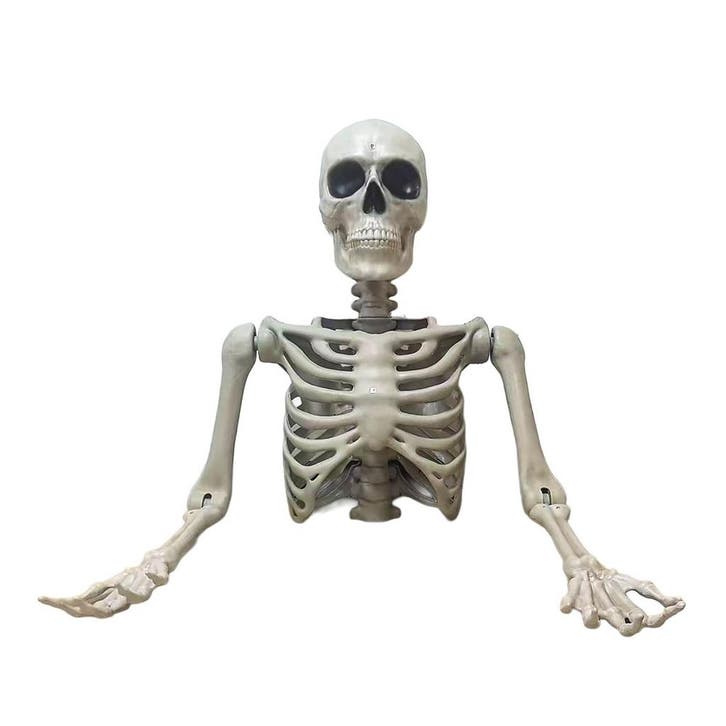 Halloween Decoratie Skelet Torso Tom 104cm, Hobby en Vrije tijd, Feestartikelen, Overige typen, Nieuw, Verzenden