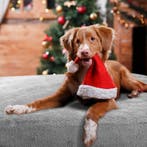 Nobleza Hondendeken, zachte fleecedeken, wasbaar dek voor hu, Huis en Inrichting, Woonaccessoires | Overige, Verzenden, Zo goed als nieuw