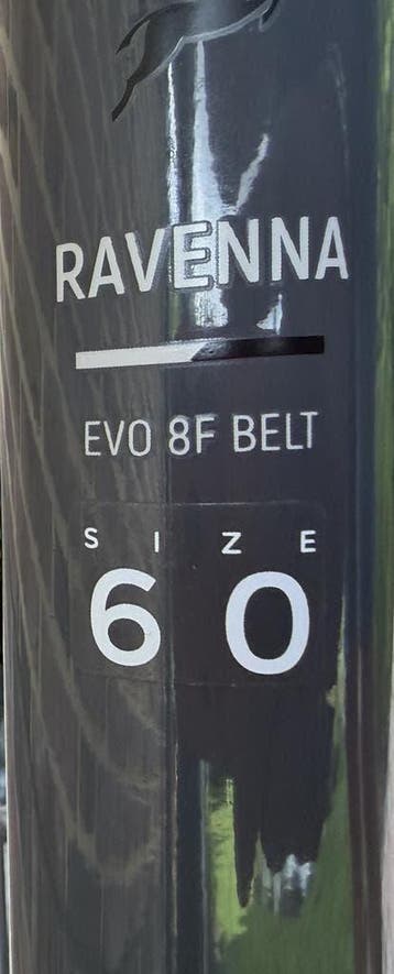 Pegasus Ravenna / 60 cm. Belt.  Heren. Bosch hmb. 500 Wh., Overige merken, Nieuw, Ophalen of Verzenden, 59 cm of meer
