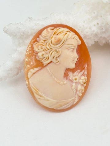 Cassis rufa zonder reserveprijs - Cameo - Handgesneden camee