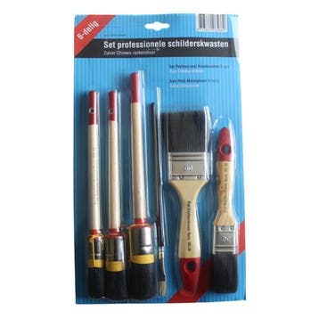 Set professionele schilderskwasten 6 Delig, Nieuw