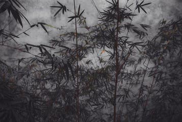 Viet Ha Tran - The power of simplicity II (Framed)