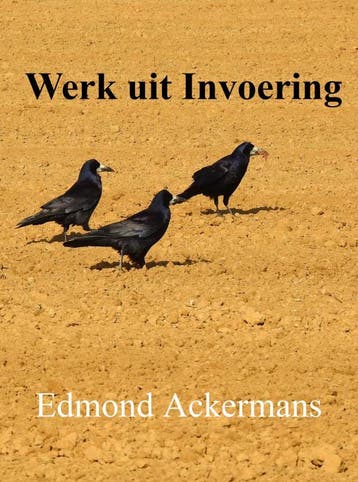 Werk Uit Invoering | Edmond Ackermans | Nieuw, Ophalen of Verzenden, Nieuw, Edmond Ackermans