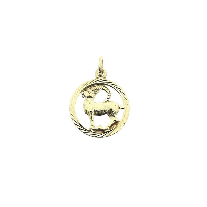Gouden sterrenbeeld hanger Steenbok (Hanger of bedel), Sieraden, Tassen en Uiterlijk, Bedels, Gebruikt, Overige merken, Goud, Ophalen of Verzenden