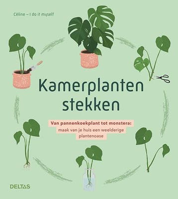 Kamerplanten stekken - CELINE 9789044761344, Verzenden, Zo goed als nieuw, CELINE