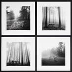 Frank Machalowski - Portfolio of 4 pictures from the series