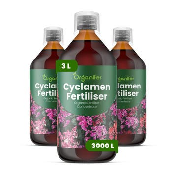 Cyclaam Vloeibare meststof - 3x1 liter, Verzenden, Mest