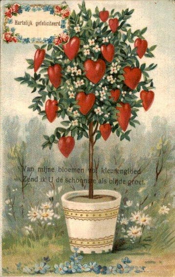 Bloemen - Ansichtkaart (151) - 1900-1999, Verzamelen, Gelopen