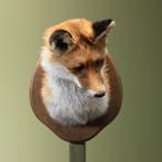 Vos Taxidermie Opgezette Dieren By Max, Verzamelen, Dierenverzamelingen, Ophalen of Verzenden, Nieuw, Wild dier, Opgezet dier