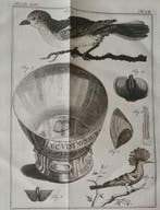 Noel Chomel en Jacques Alexandre de Chalmot - Vervolg op