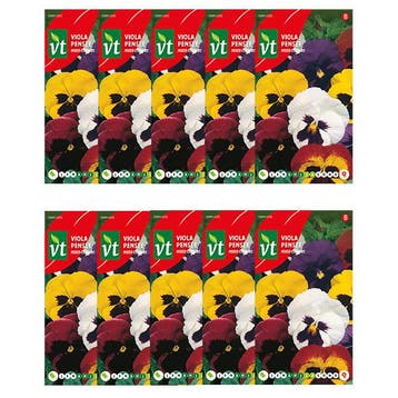 Bloemzaden viooltjes | VT | 10 stuks (Gemengd), Verzenden