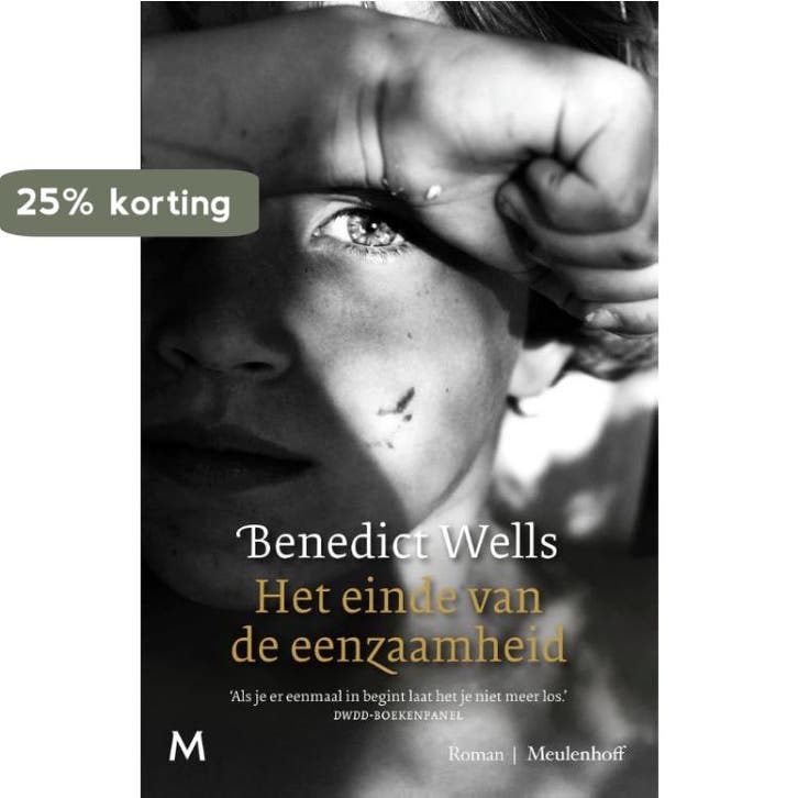 Het einde van de eenzaamheid 9789029092456 Benedict Wells, Boeken, Romans, Gelezen, Verzenden