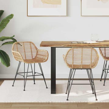 vidaXL Eetkamerstoel 2 st Riet en IJzer Naturel 55 x 50 x 74, Huis en Inrichting, Stoelen, Verzenden, Nieuw, Bruin