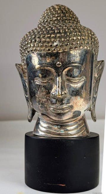 Hoofd - een indrukwekkende en hoogwaardige sculptuur van een