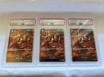 One Piece Card Game - 3 Graded card - One Piece - Sakazuki, Nieuw