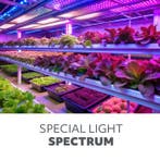 LED Kweeklamp VITARO-3 Clip 10W - 3 Armen - Dimbaar - Tim..., Ophalen of Verzenden, Nieuw