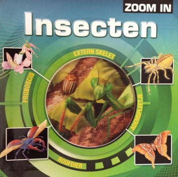 Zoom in: Insecten - Rebo 9789039623398, Verzenden, Gelezen, Rebo