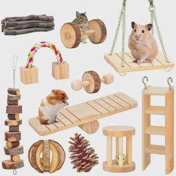 Houten Knaagdier Speelgoed Set: Kauwspeeltjes & Tandverzorgi, Verzenden, Nieuw