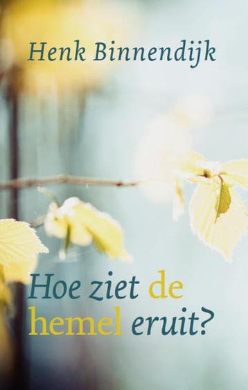 Hoe Ziet De Hemel Eruit? | Henk Binnendijk | Nieuw, Ophalen of Verzenden, Nieuw, Henk Binnendijk