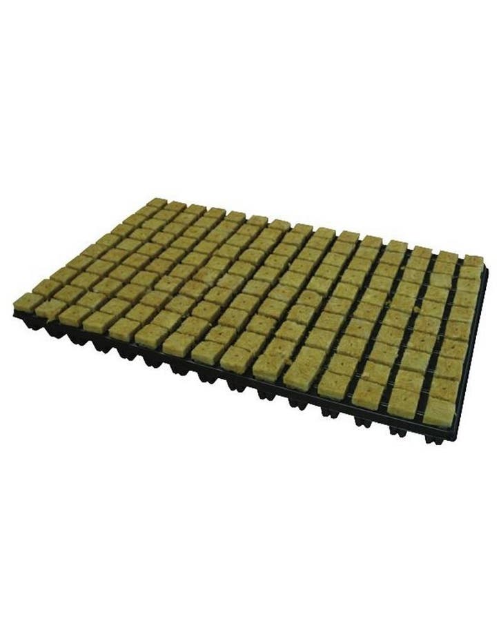 Cultilene, steenwolpluggen (150 per tray), Tuin en Terras, Kweekspullen, Ophalen of Verzenden