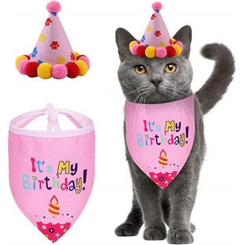 Happy Birthday Cats poezen party pakket 38-delig, Verzenden, Nieuw