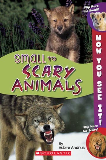 Now You See It! Small to Scary Animals - Aubre Andrus, Boeken, Verzenden, Gelezen, Aubre Andrus