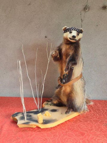Das Taxidermie wandmontage - Meles meles - présenté en