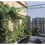 Gardlov Versterkt groen net voor verticale groei klimplan..., Ophalen of Verzenden, Nieuw
