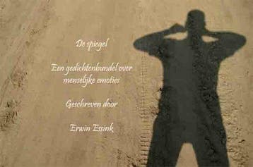 De Spiegel - E. Essink 9789086661602, Verzenden, Gelezen, E. Essink