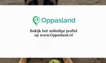 Peter zoekt een oppas in IJsselstein.