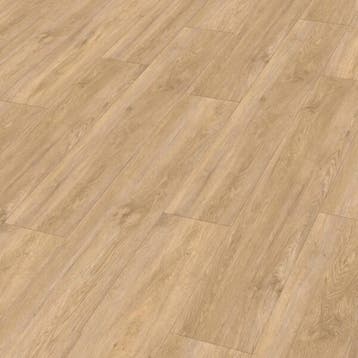 Meister RD 200 S Vogue 20195 (Meister RD 200 (S) Rigid), Kunststof, Verzenden, 50 tot 150 cm, Overige typen