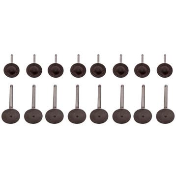 Drain Klep Outlet Klep geschikt voor Audi A3, Seat Altea..., Verzenden, Nieuw, Audi